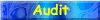 Audit Services