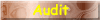 Audit Services