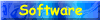 Software Services