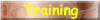 Training Services